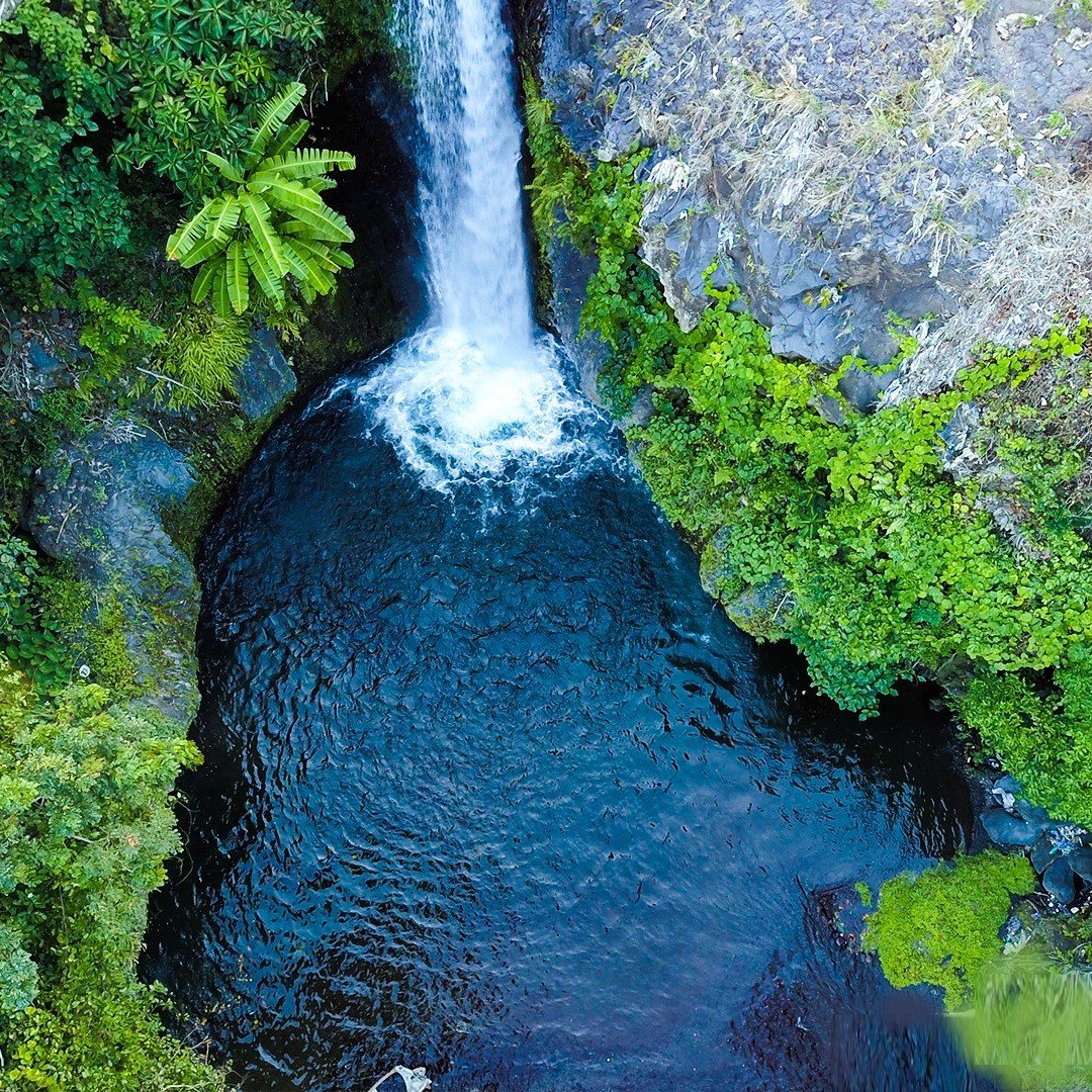 Forêt de Moya - Cascades Mystiques